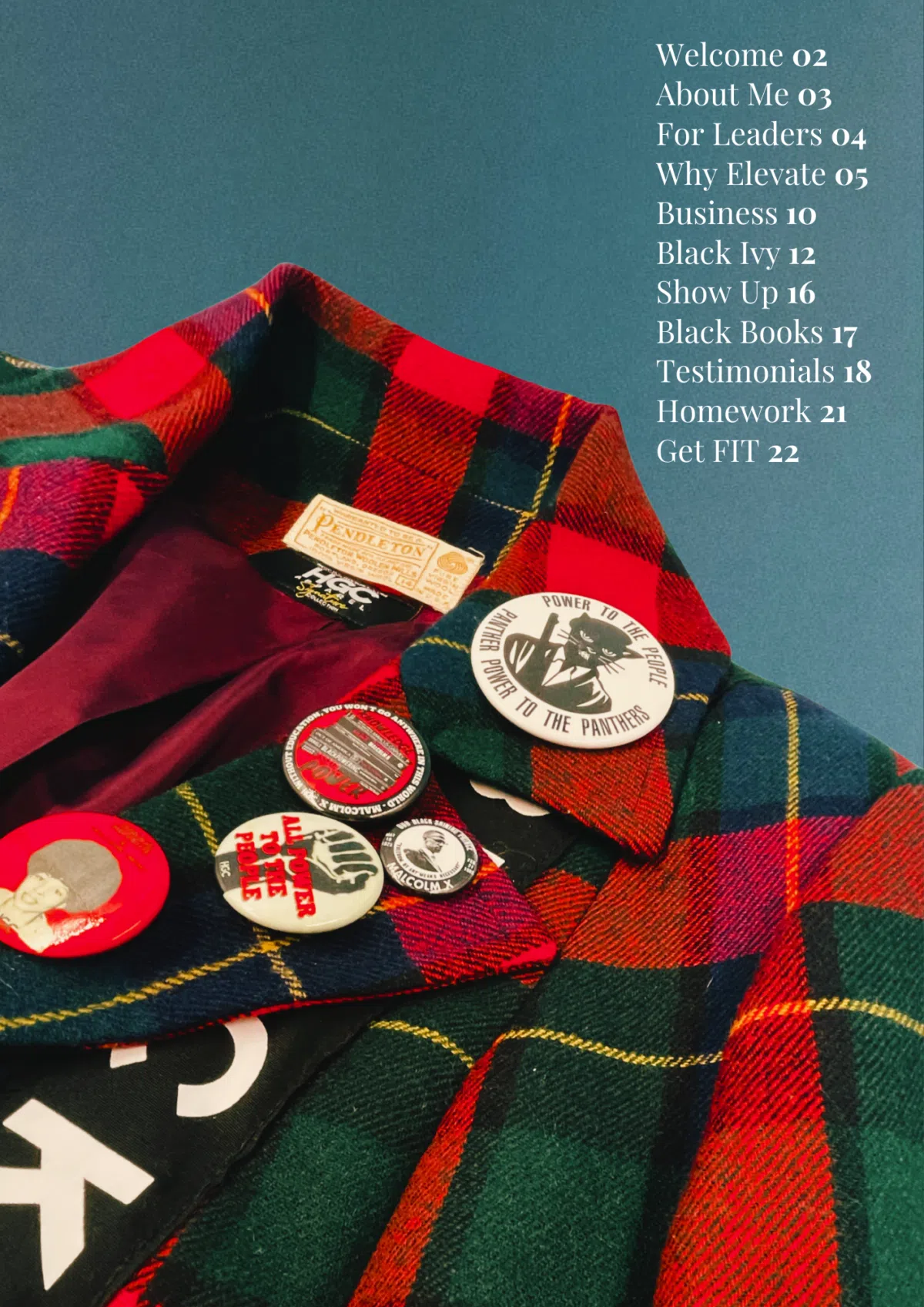 How to Revolt in Style: Black Ivy Style Guide (E-Book) FREE DOWNLOAD - Image 2