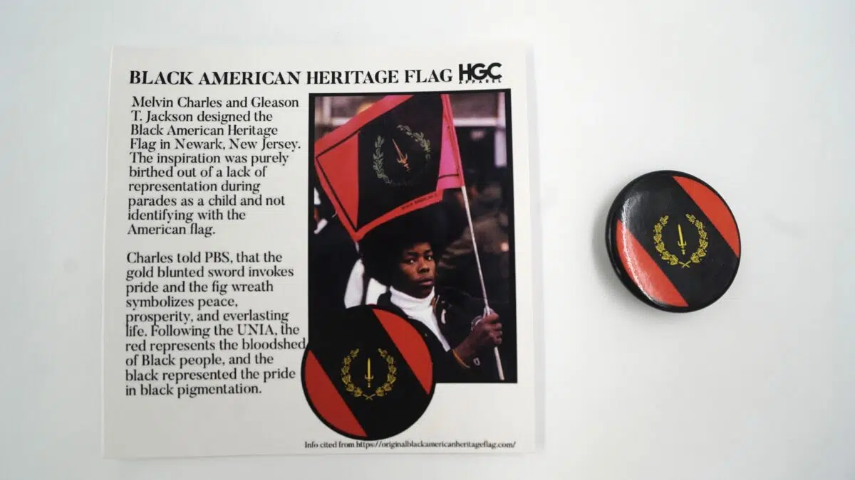 Black By Popular Demand "Black Flags" Pins - Image 4